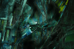 huile_sur_toile_darbefeuille