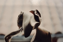 Sculpture_bois_silouhette_darbefeuille